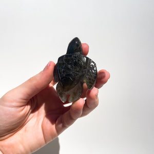 Labradorite Turtle #3 Halo Quartz 