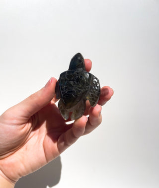 Labradorite Turtle #3 Halo Quartz 