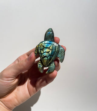 Labradorite Turtle #2 Halo Quartz 