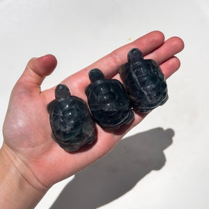 Fluorite Turtle Intuitively Chosen Halo Quartz 