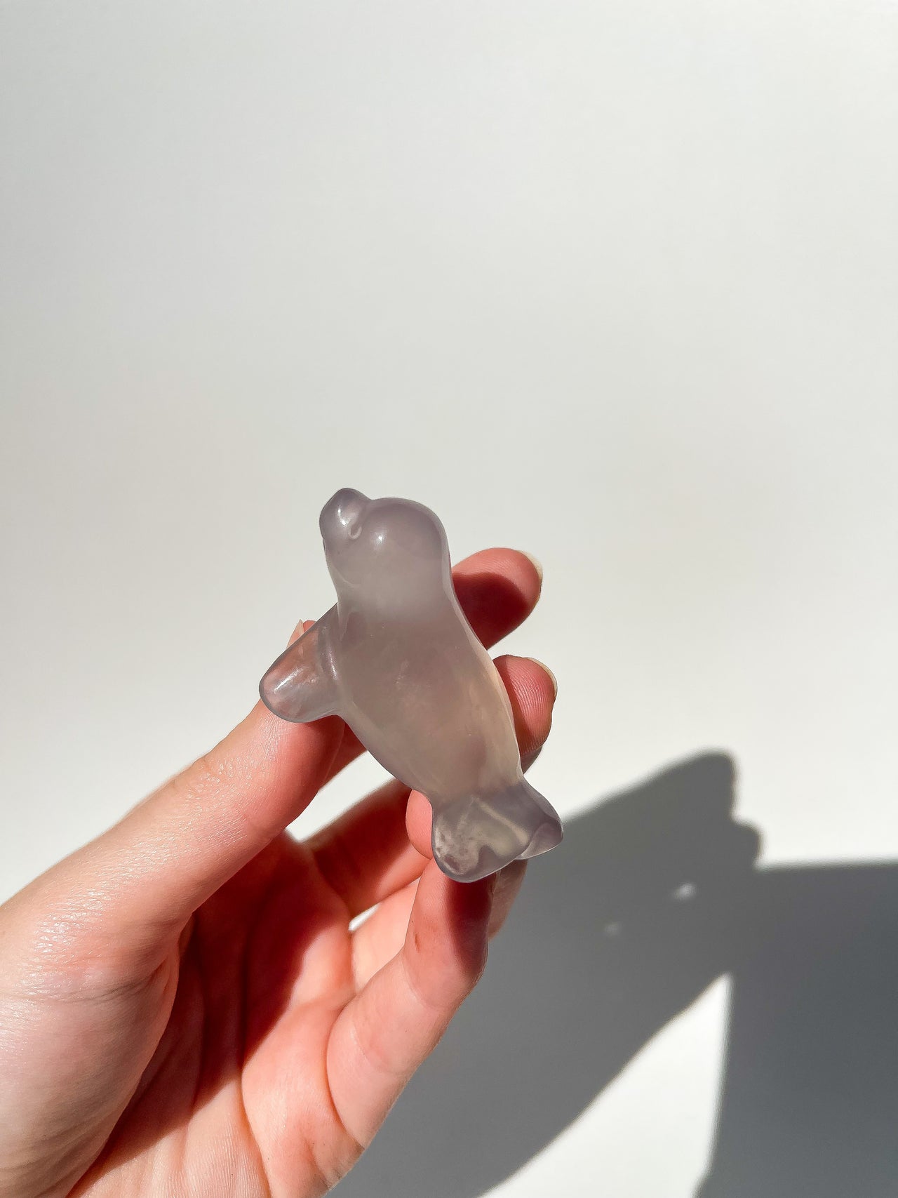 Lavender Fluorite Seal #1