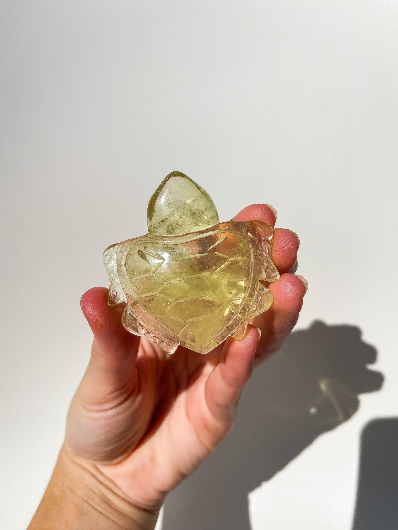 Citrine Turtle #1