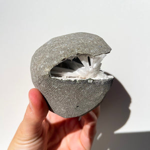 Scolecite Geode #7 Halo Quartz 