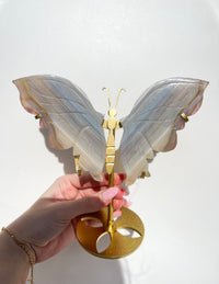 Agate Wings