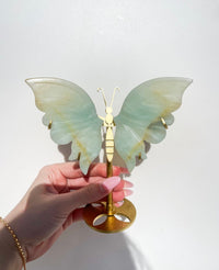 Amazonite Wings