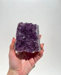 Amethyst Cluster #5