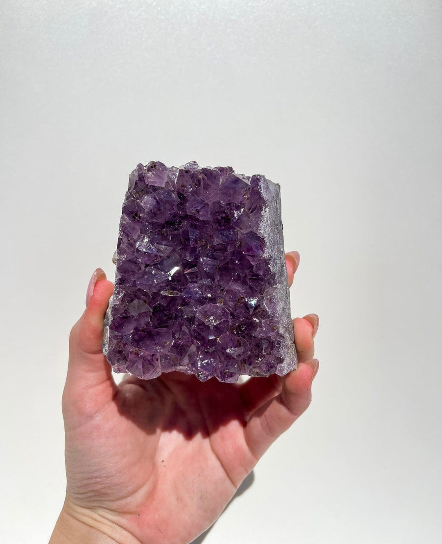 Amethyst Cluster #5