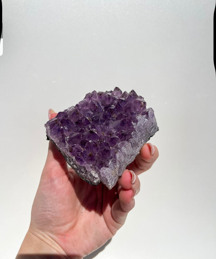 Amethyst Cluster #5