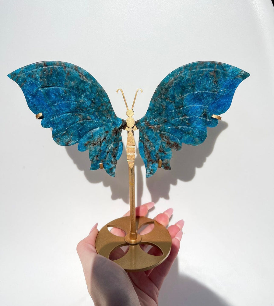 Apatite Wings (see video)