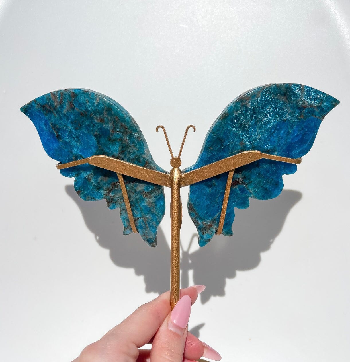 Apatite Wings