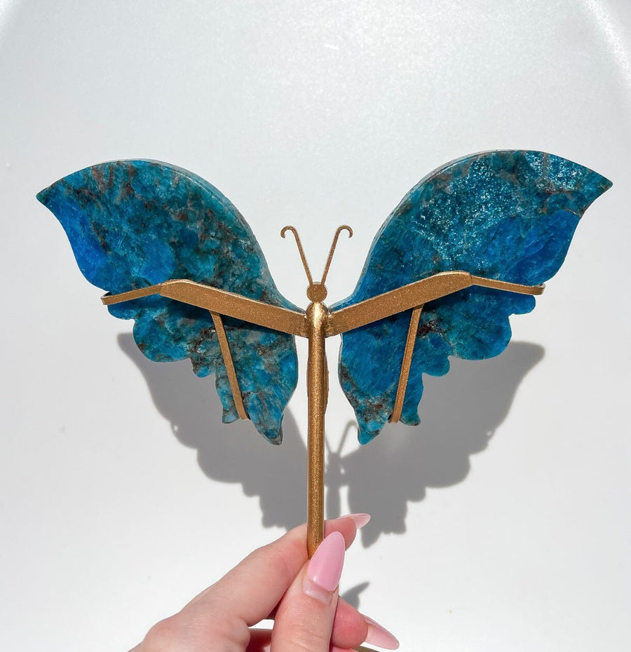 Apatite Wings (see video)