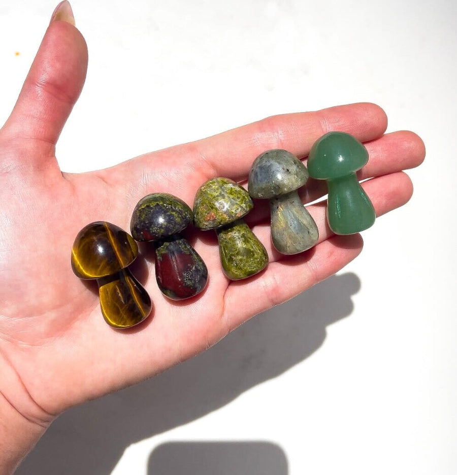 Assorted Mushrooms Halo Quartz 