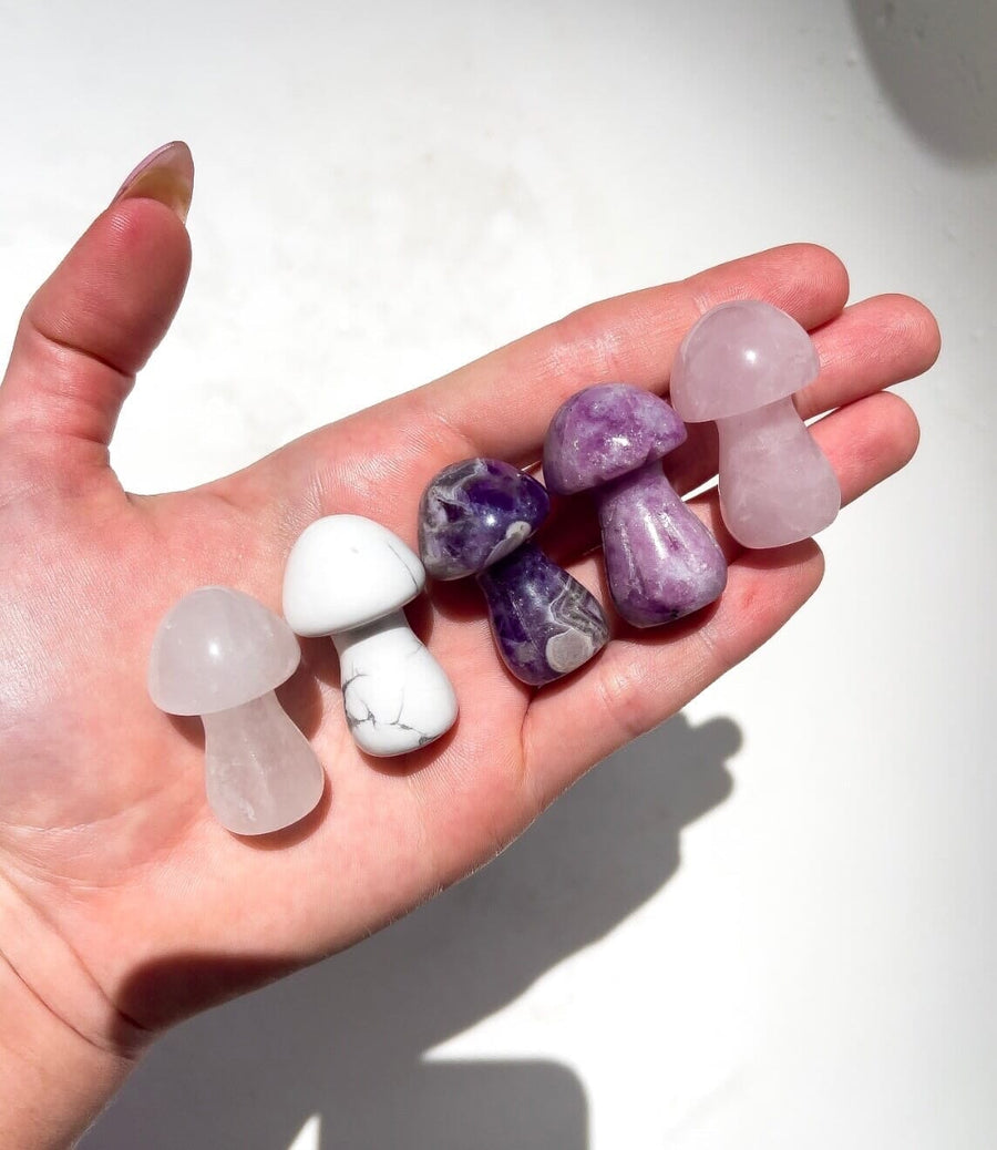 Assorted Mushrooms Halo Quartz 