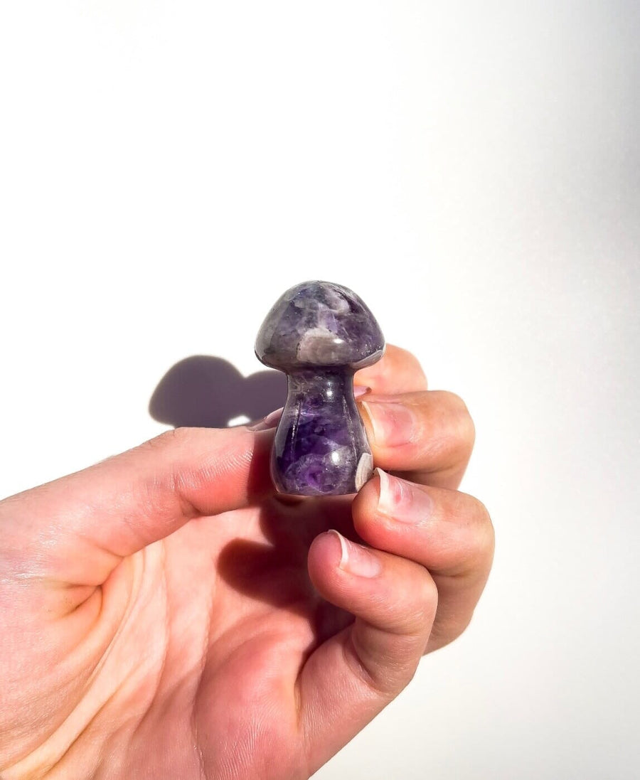 Assorted Mushrooms Halo Quartz Amethyst 