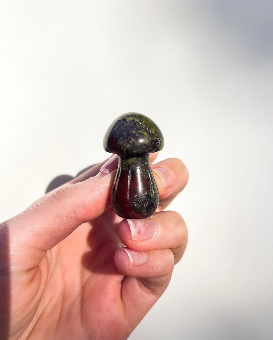 Assorted Mushrooms Halo Quartz Bloodstone 