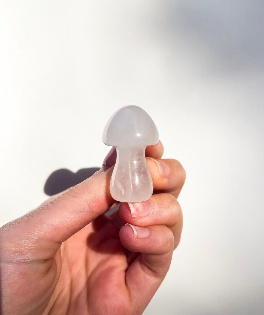 Assorted Mushrooms Halo Quartz Clear Quartz 