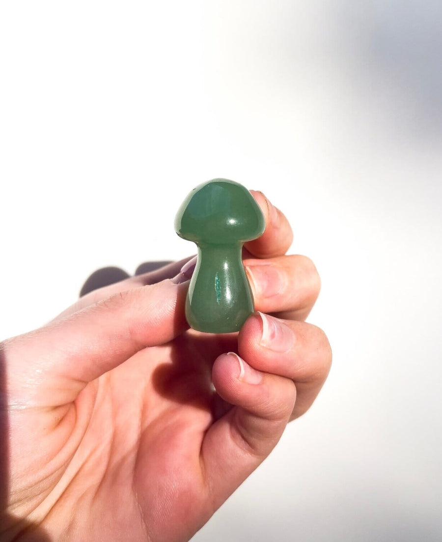 Assorted Mushrooms Halo Quartz Green Aventurine 