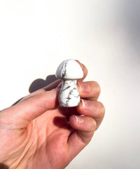 Assorted Mushrooms Halo Quartz Howlite 