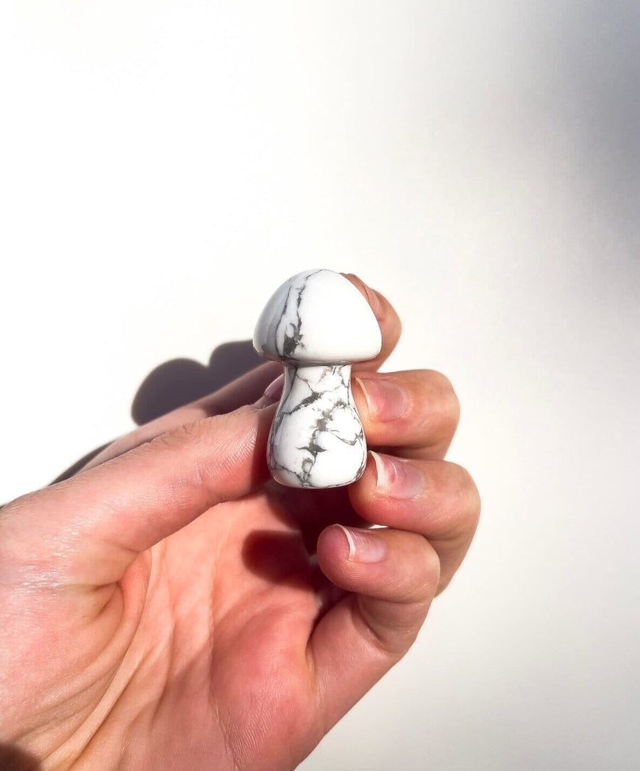 Assorted Mushrooms Halo Quartz Howlite 