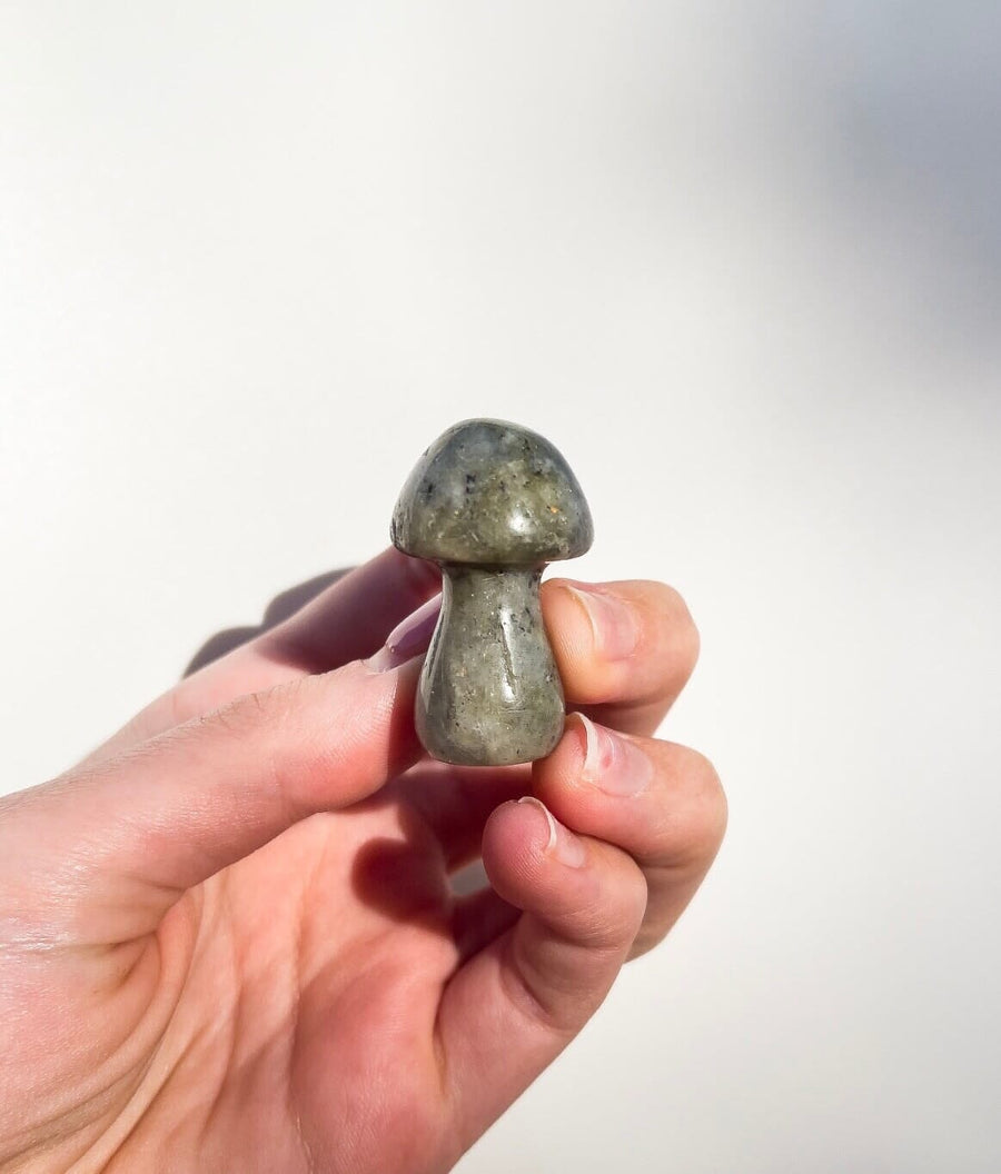 Assorted Mushrooms Halo Quartz Labradorite 