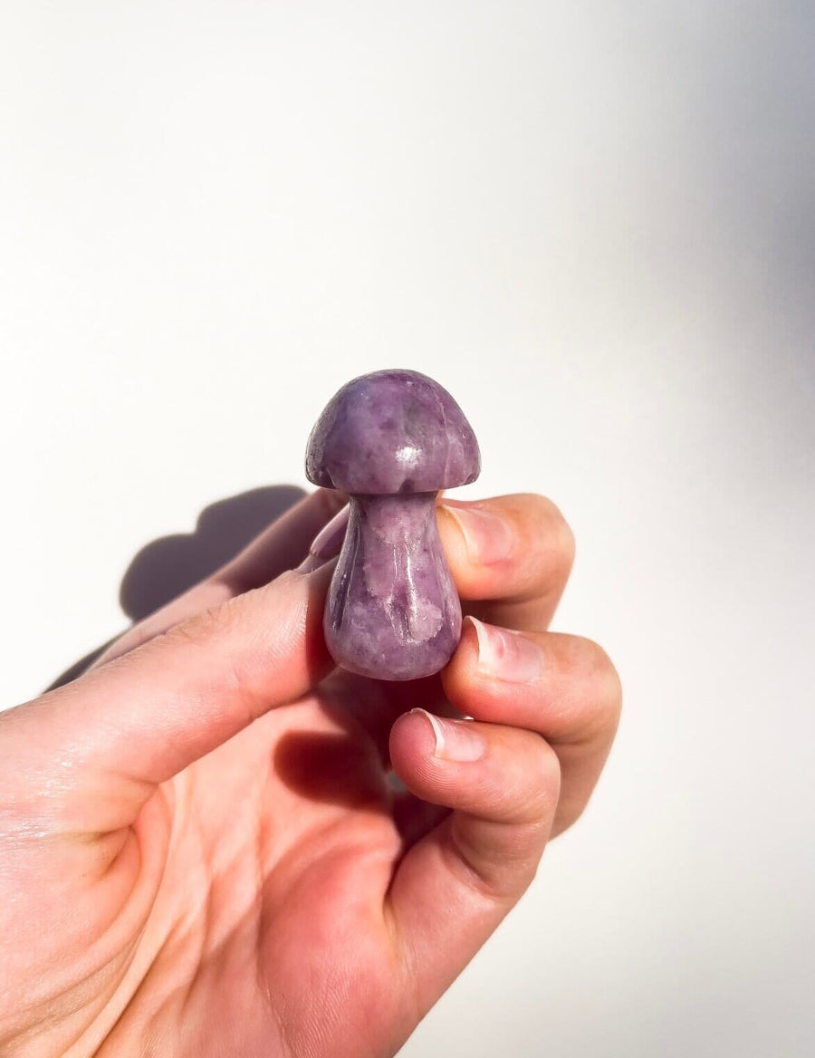 Assorted Mushrooms Halo Quartz Lepidolite 