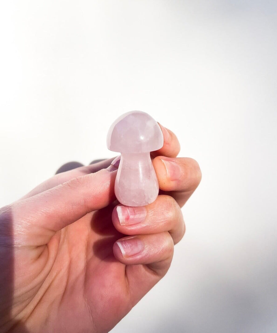 Assorted Mushrooms Halo Quartz Rose Quartz 