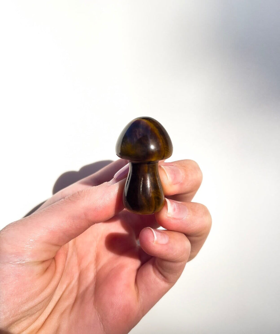 Assorted Mushrooms Halo Quartz Tigers Eye 