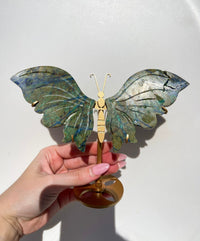 Azurite Malachite Wings (see video)