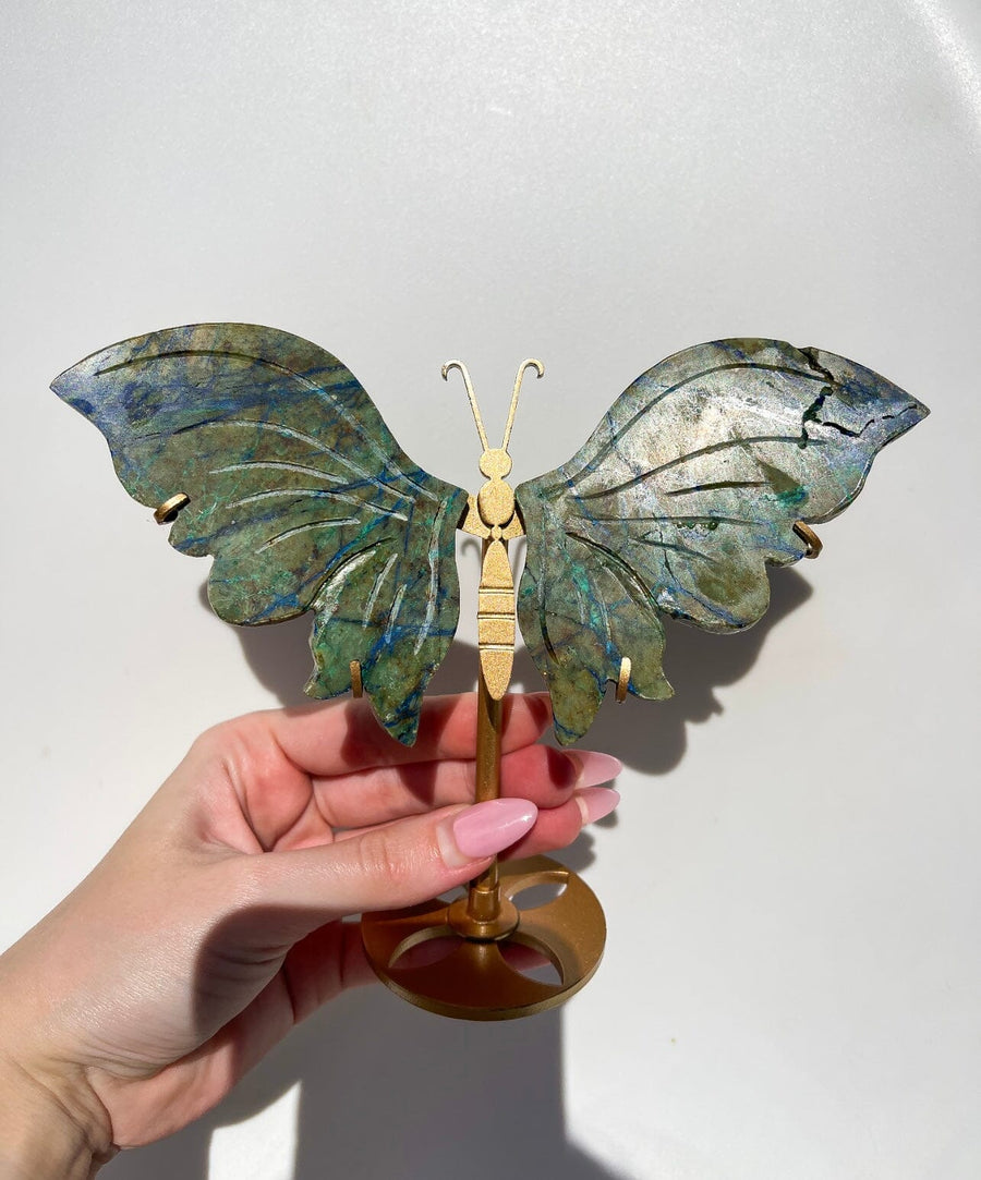 Azurite Malachite Wings (see video)