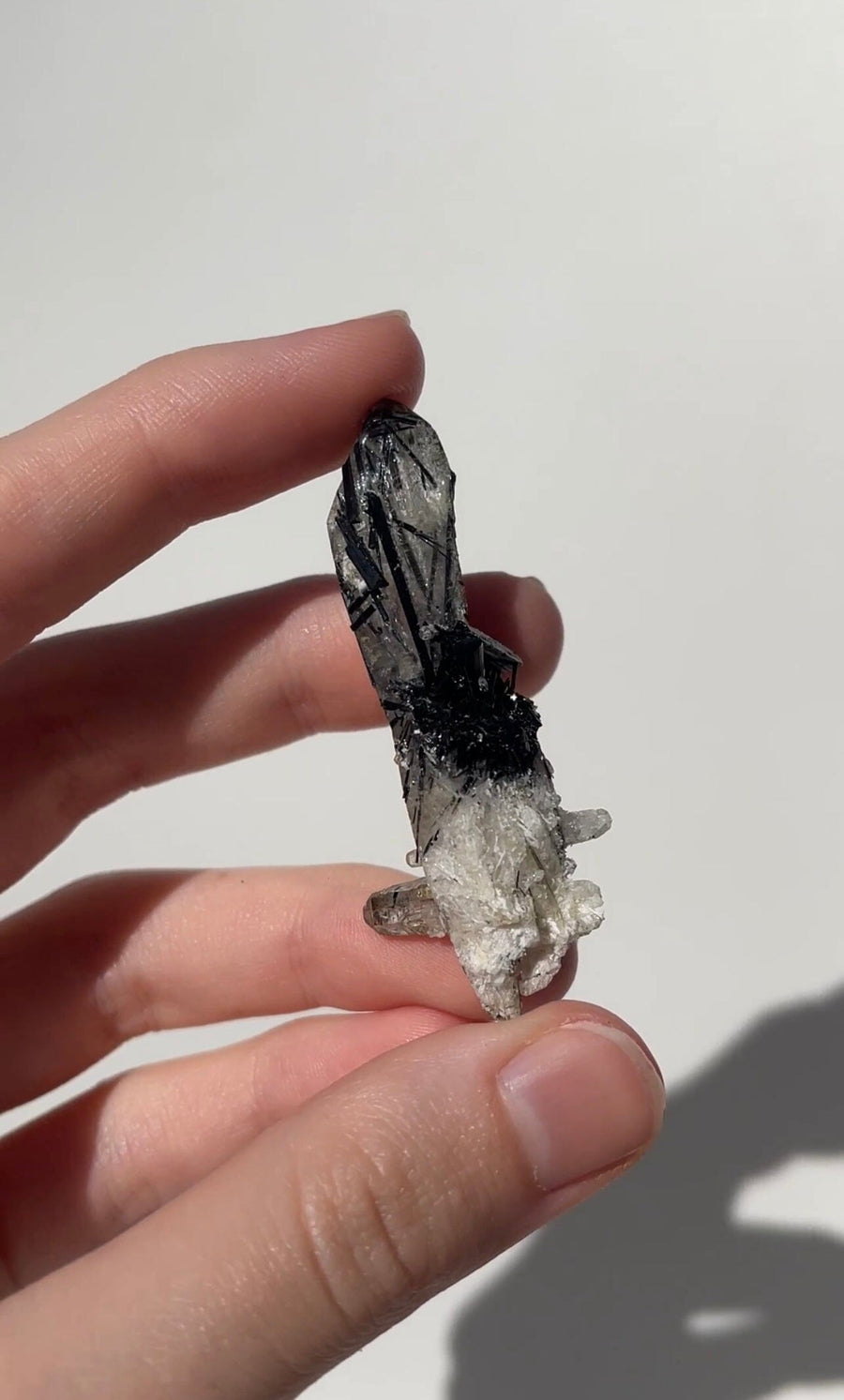 Black Tourmaline on Quartz Cluster (high quality) #1