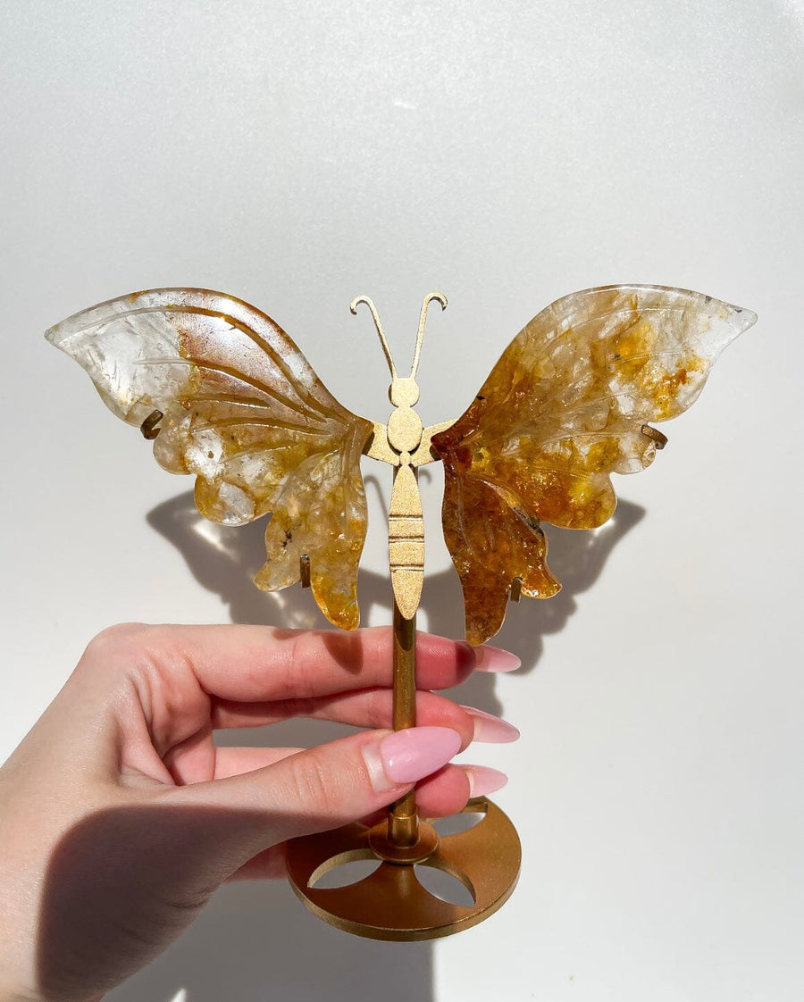 Golden Healer Wings #1 (see video)