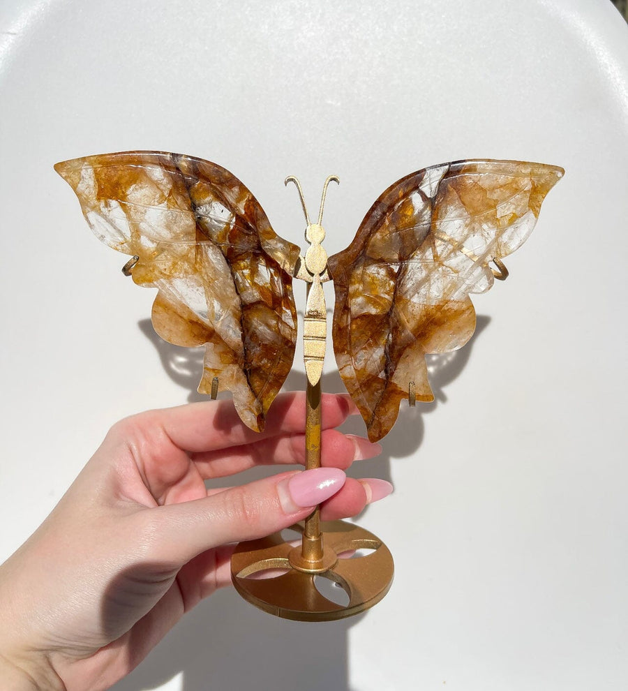 Golden Healer Wings #2 (see video)