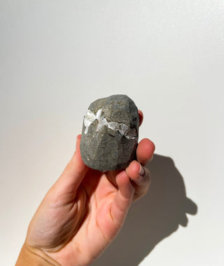 Scolecite Geode #37 Halo Quartz 