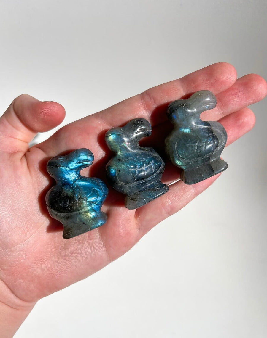 Labradorite Dodo Bird Halo Quartz 