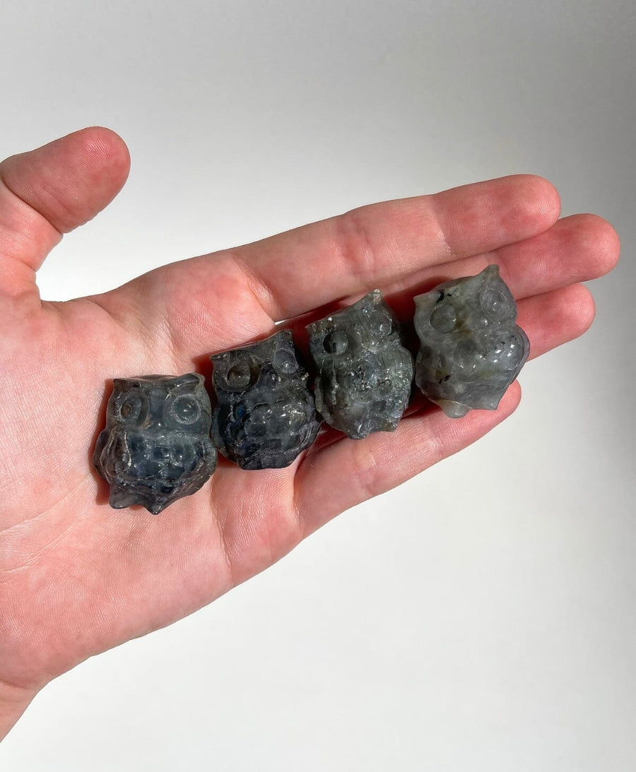 Labradorite Owl Halo Quartz 