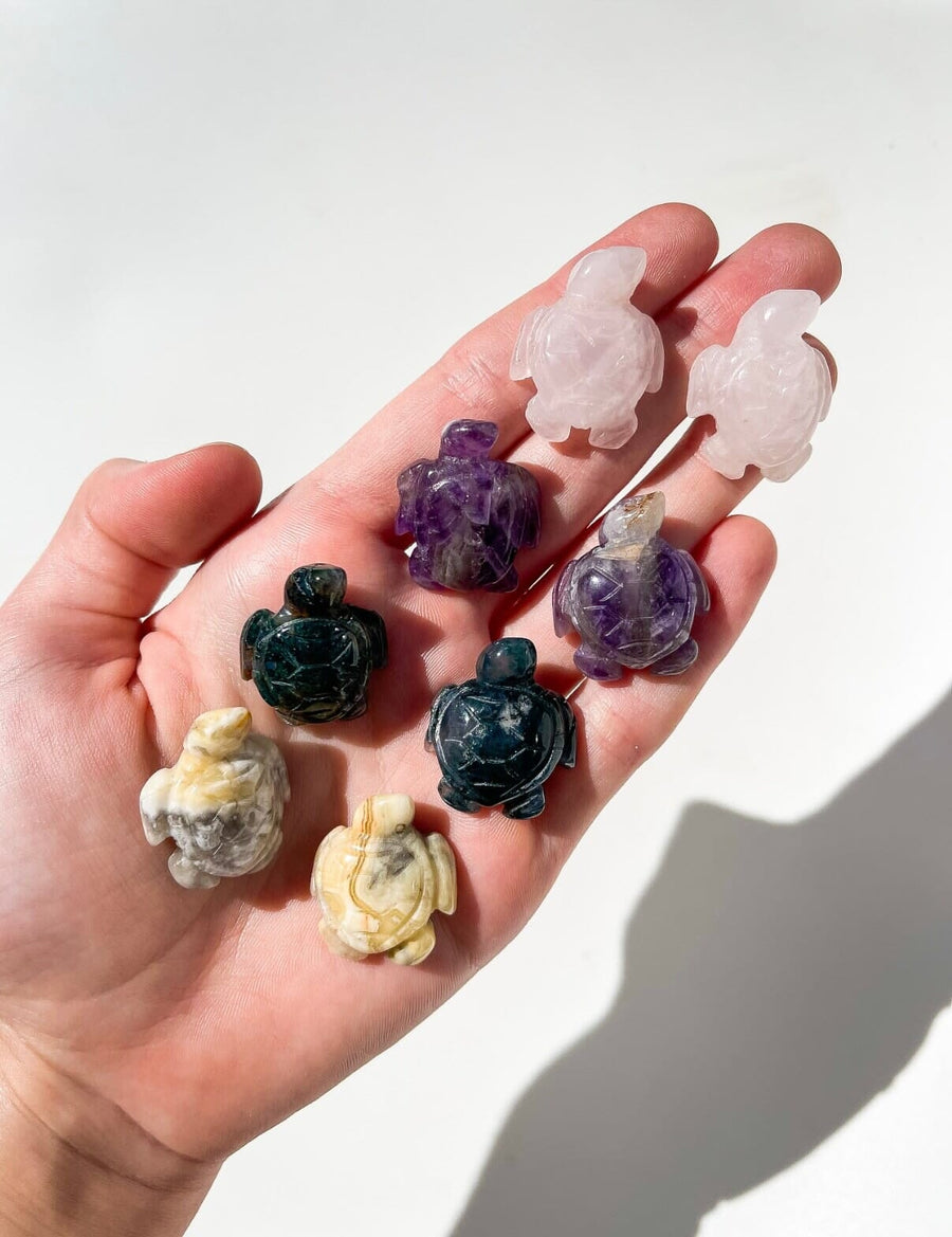 Mini Turtles Halo Quartz 