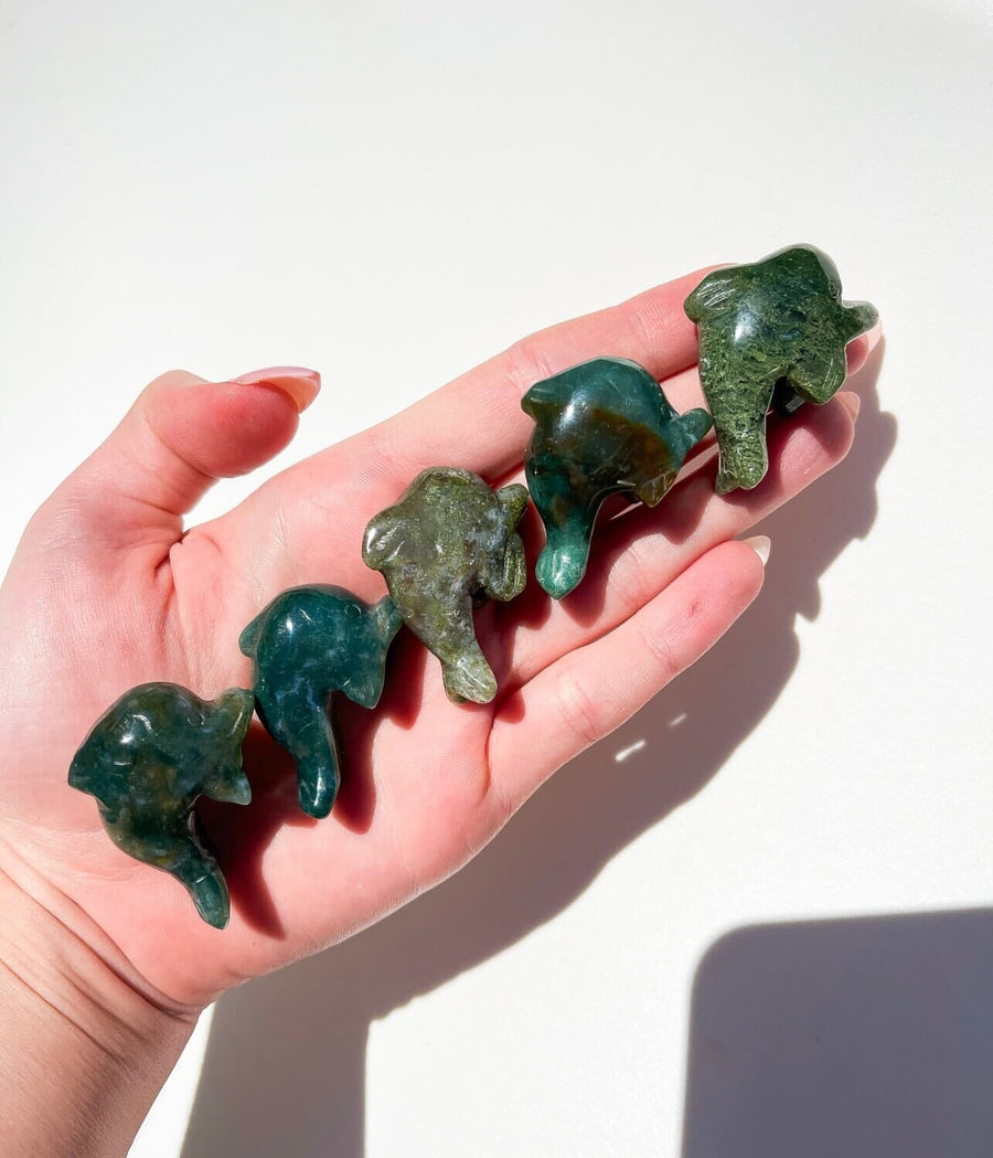 Moss Agate Dolphin Halo Quartz 