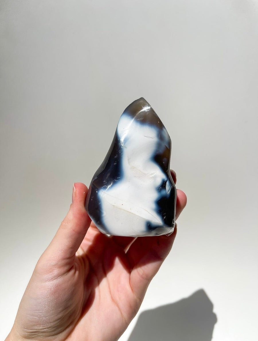 Orca Agate Free-Form #4