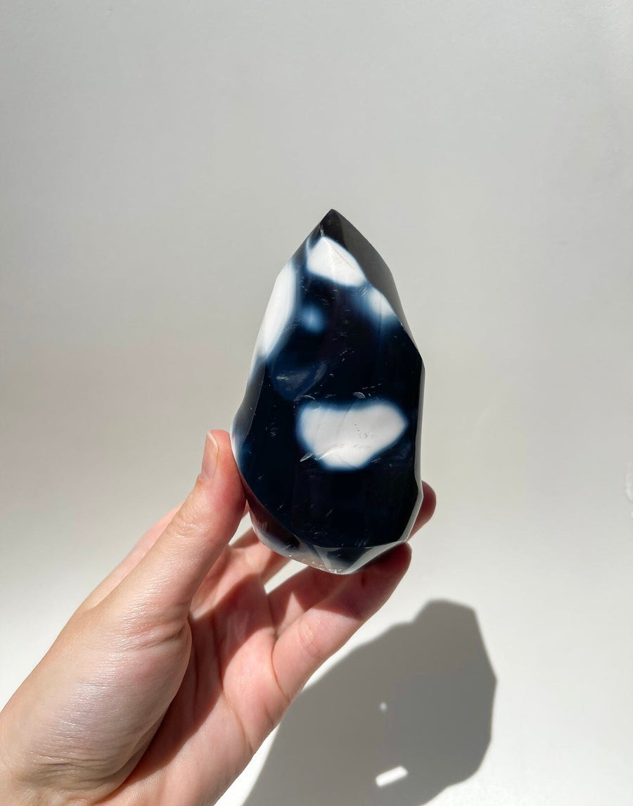 Orca Agate Free-Form #5