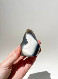 Orca Agate Free-Form #8