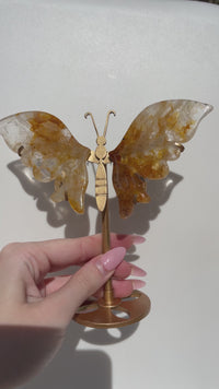 Golden Healer Wings #1 (see video)