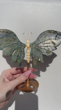 Azurite Malachite Wings (see video)