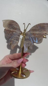 Moonstone Wings (see video)