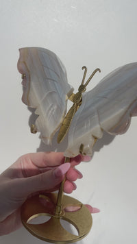 Blue Banded Agate Wings (see video)