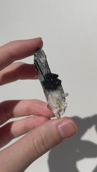 Black Tourmaline on Quartz Cluster (high quality) #1