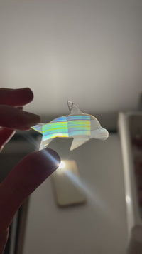 Rainbow Iris Agate Dolphin (see video) 3