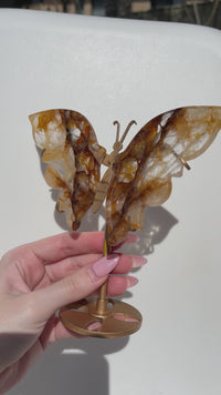 Golden Healer Wings #2 (see video)