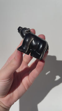 Silver Obsidian Bear (intuitively chosen)