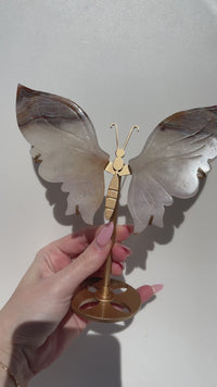 Agate Wings (see video)