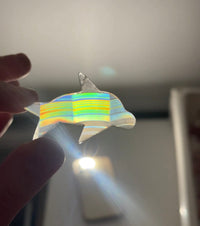 Rainbow Iris Agate Dolphin (see video) 3